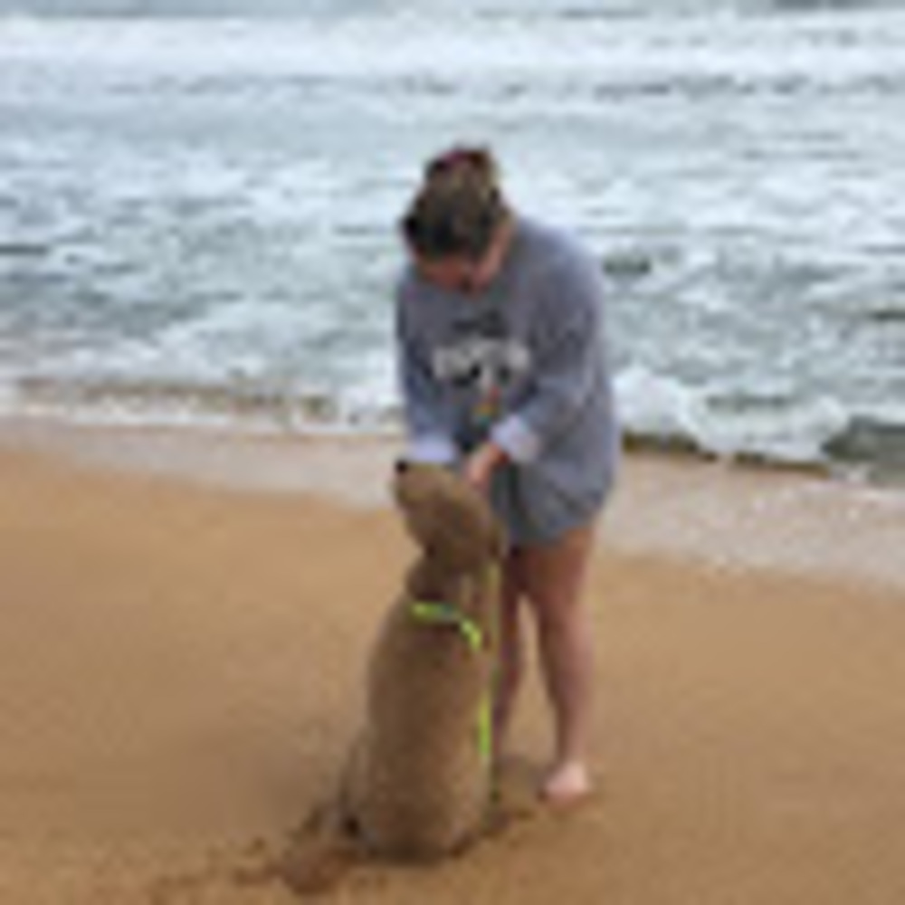 Meet your Posher, Baylie